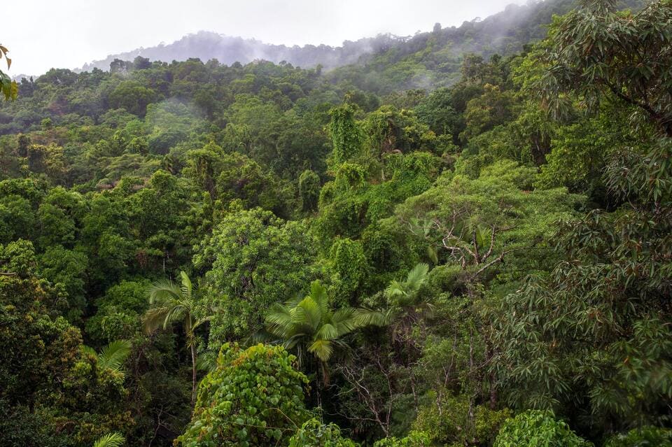 Inventário Florestal